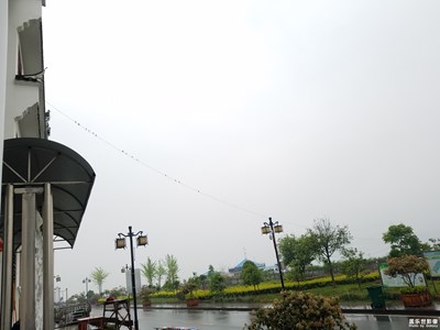 雨中的小鳥