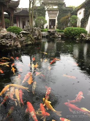 春色。。。