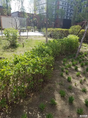 小區(qū)