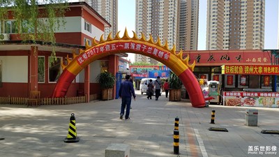 一路旅行一路曬+沈陽南湖公園+“五一”君子蘭花展