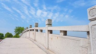 橋與小花