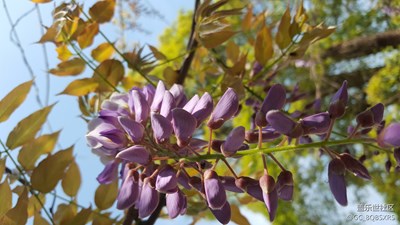 生活點(diǎn)滴