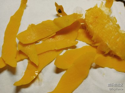 蘇珊桑塔格