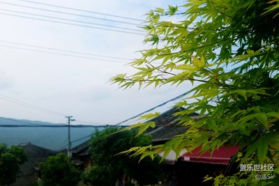 《初夏風(fēng)情畫》+溫州+福德灣