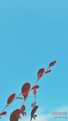 《初夏風(fēng)情畫》+福建泉州市+生機勃勃