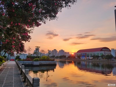 《初夏風情畫》+廈門+漫步筼筜湖，聽聽花開的聲音