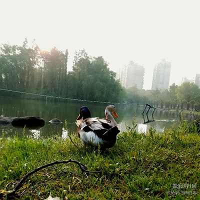 公園隨拍