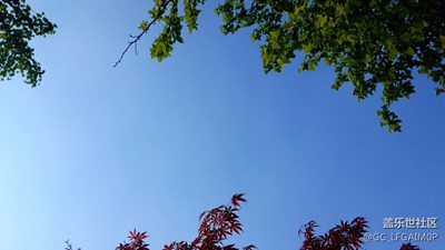夏之韻