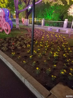 夜
