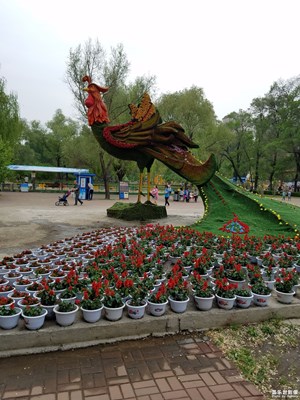 雞