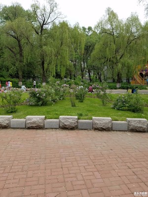 公園