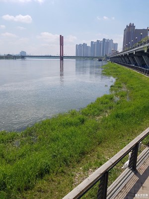 江邊