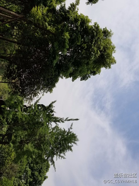 GalaxyS8|S8+機(jī)皇降世，簡單可靠，更勝一籌