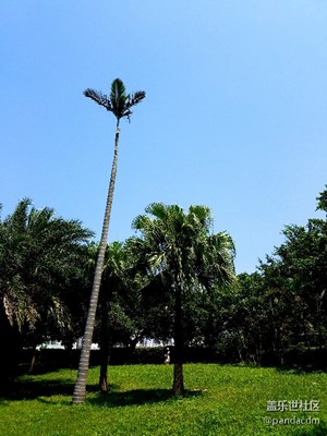 隨手拍