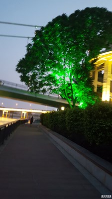 隨拍