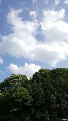 《兒童節(jié)快樂》+帶孩子去摘野草莓