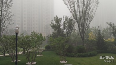 社區(qū)晨霧