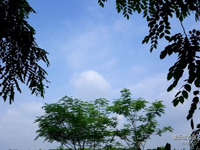 Note5攝像頭一如既往的強(qiáng)悍