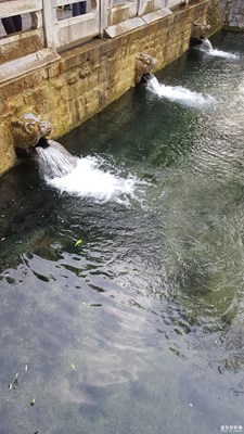 濟南泉水