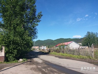 清涼一夏