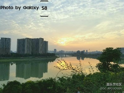 江邊隨手拍
