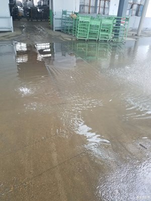 雨