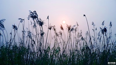 《慢生活》+太倉+晨練隨拍