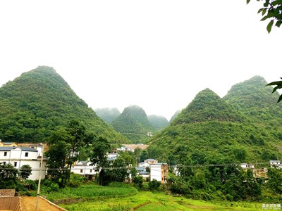 山峰，生態(tài)