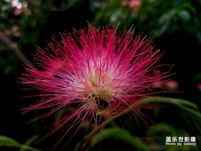 小區(qū)