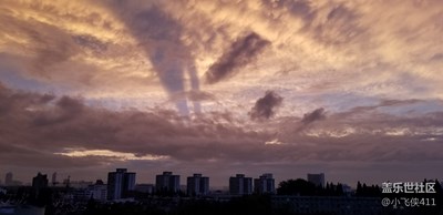 今晚的晚霞太美了，難得一見，大片的既視感。