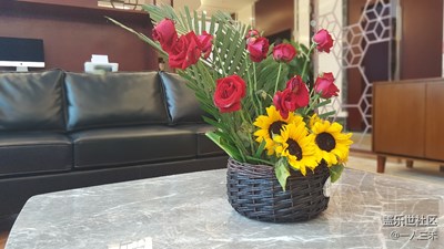真 假 花