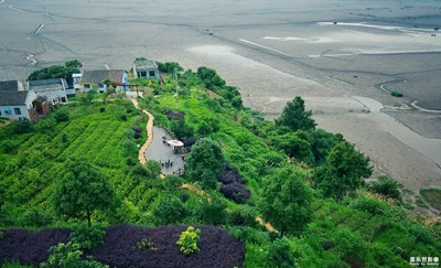 小山村的愜意晨光