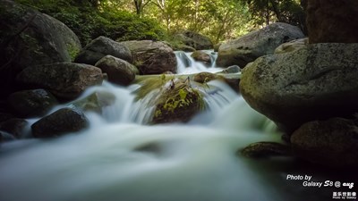 蓋樂(lè)世社區(qū)兩周年慶生帖（下）-云在青天水在瓶