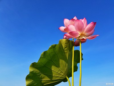 【蓋樂世社區(qū)2周年慶 三位一體 】+溫州+仁者見仁智者見智