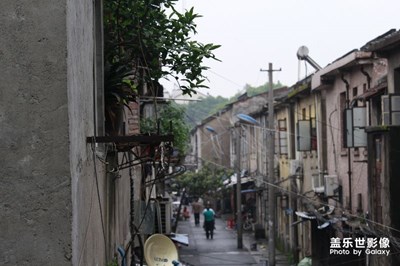 非手機拍攝，僅供觀賞