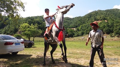 A9連拍效果