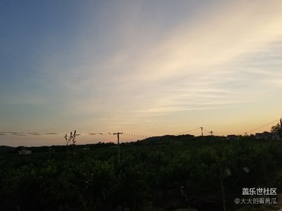 夏日時(shí)光