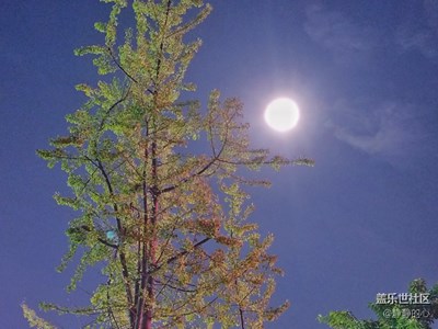 不一樣的月色