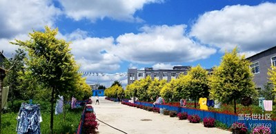 隨手拍（S8相機初體驗）