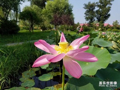 太陽(yáng)島