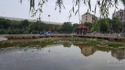 童年的回憶，小學(xué)附近的花園