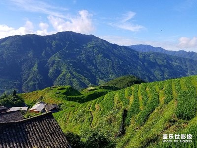 龍脊人攝龍脊梯田