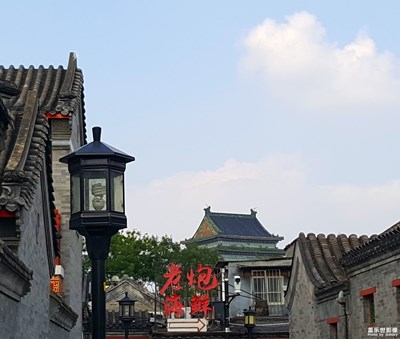 周末隨拍