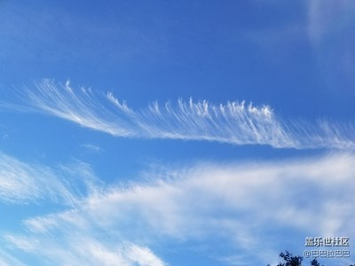 天使的羽毛