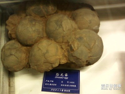 昨天看社區(qū)活動有個博物館的，當年的博物館照來一波