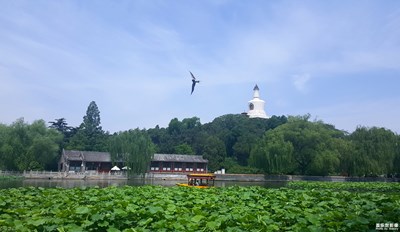 北海游記