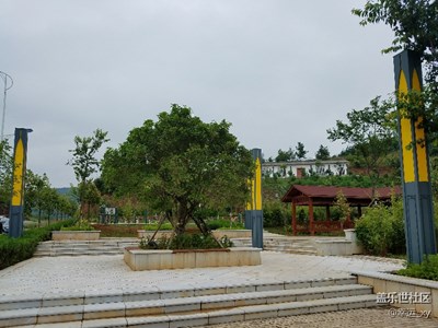 隨拍