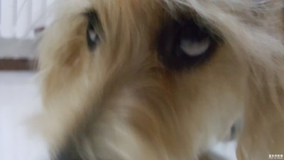 來(lái)，看我的白眼
