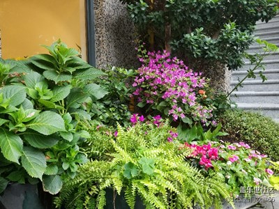 花店一隅