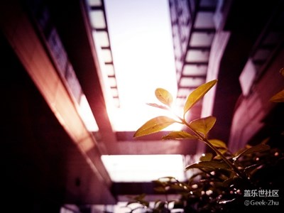 【光影交錯的世界】+日常雜拍